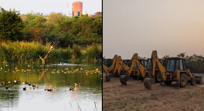 Deforestation near Hyderabad University halted by High Court